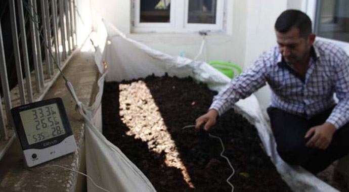 Balkonunda 70 bin solucan besliyor Balkonunda 70 bin solucan besliyor