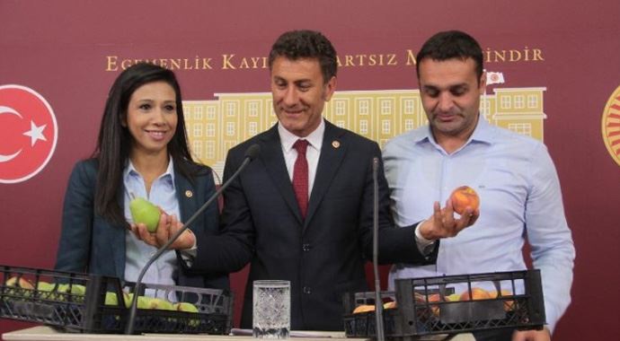 Meclis&#039;te meyveli toplantı
