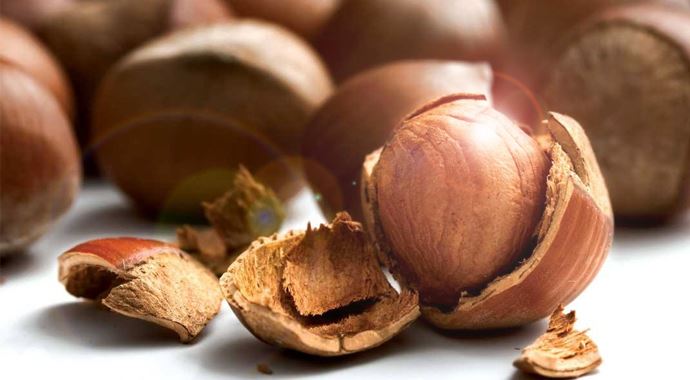 FİSKOBİRLİK, borçsuz daha güçlü olacak FİSKOBİRLİK, borçsuz daha güçlü olacak