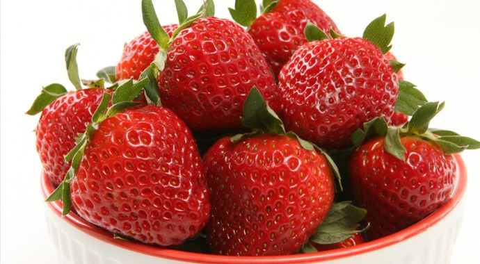 Çilek üreticisi 'erken bayram' yapıyor Çilek üreticisi 'erken bayram' yapıyor
