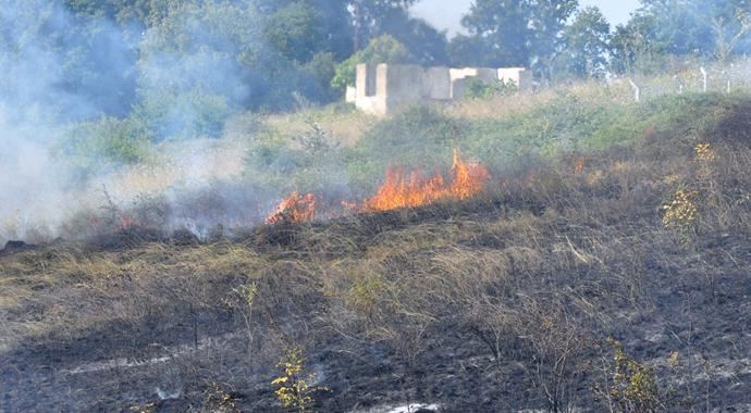 Yalova&#039;da 1,5 hektarlık orman yandı