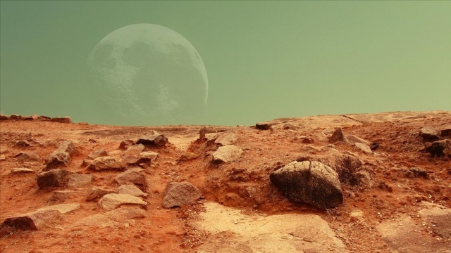 Musk, insanlığın hemen Mars’a gitmezse yok olma riski ile karşı karşıya olduğunu belirtti.