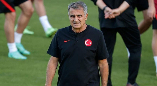 Saint-Etienne, play-out maçında da Auxerre'e kaybederek Ligue 1'e 19 yıl sonra veda etti. 
Ateşli taraftarlarıyla ünlü Fransız kulübünde küme düşme gerçekleşince saha işgali yaşanmış ve çıkan olaylar tüm dünyada haber olmuştu.