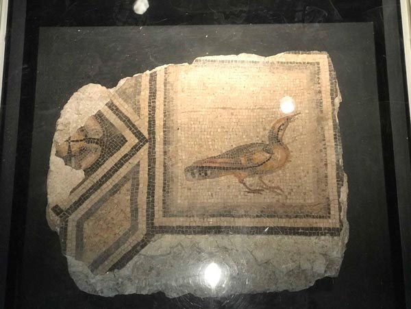 Dün Türkiye'ye getirilmişti! 'Çingene Kızı' Gaziantep'e ulaştı