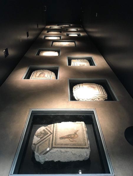 Dün Türkiye'ye getirilmişti! 'Çingene Kızı' Gaziantep'e ulaştı