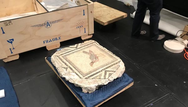 Dün Türkiye'ye getirilmişti! 'Çingene Kızı' Gaziantep'e ulaştı