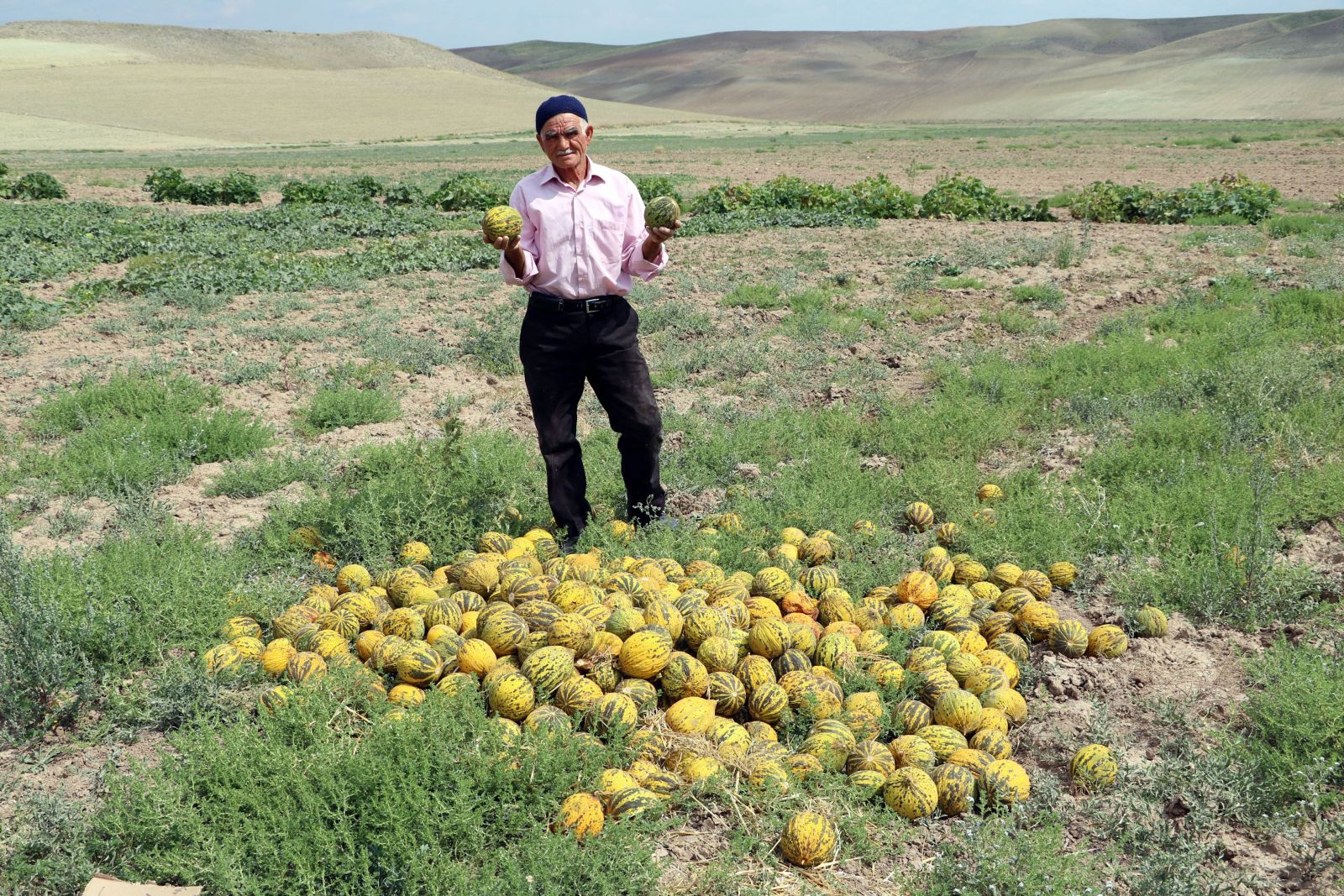 Görenler hayrete kapılıyor... Su ve gübre kullanmadan kıraç toprakta ürün yetiştiriyor