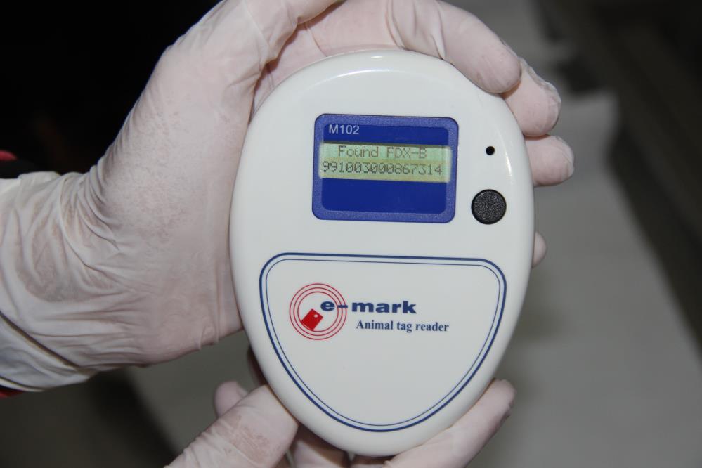 Şoke eden soru: 'Kızıma da, kediye köpeğe taktiğiniz gibi çip takar mısınız?' Şoke eden soru: 'Kızıma da, kediye köpeğe taktiğiniz gibi çip takar mısınız?'