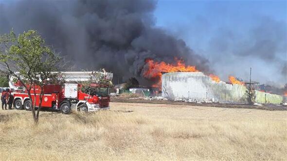 İzmir'de palet fabrikasında büyük yangın İzmir'de palet fabrikasında büyük yangın