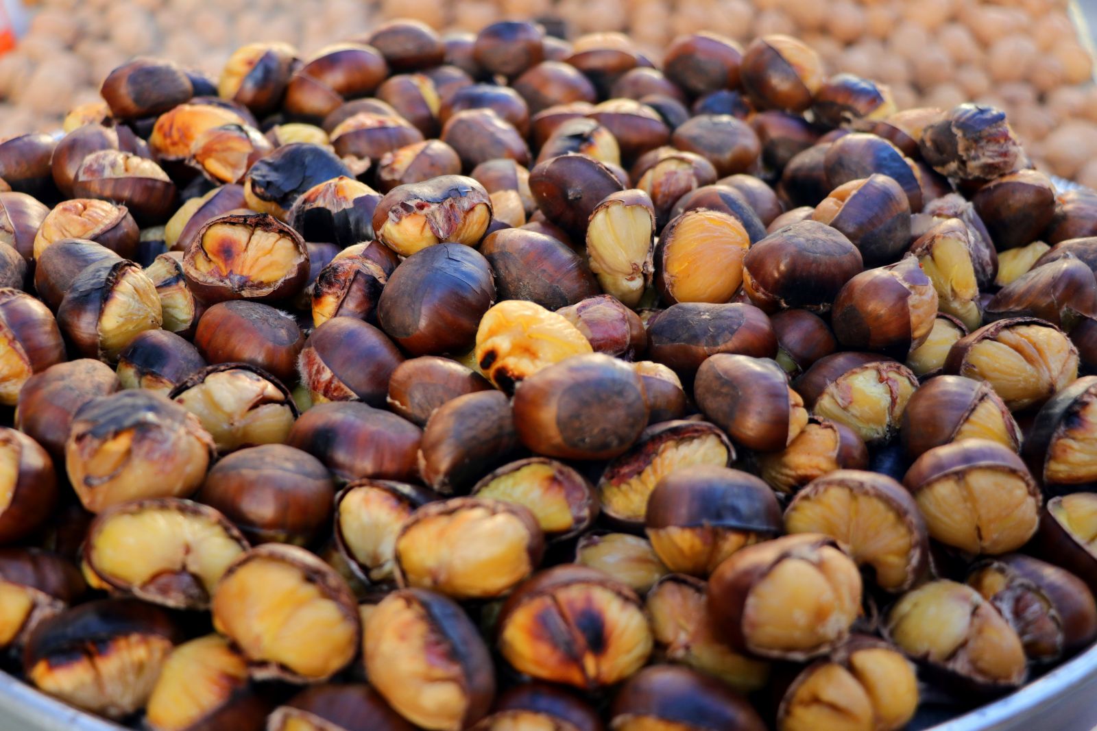 Kestane kırmızı eti solladı