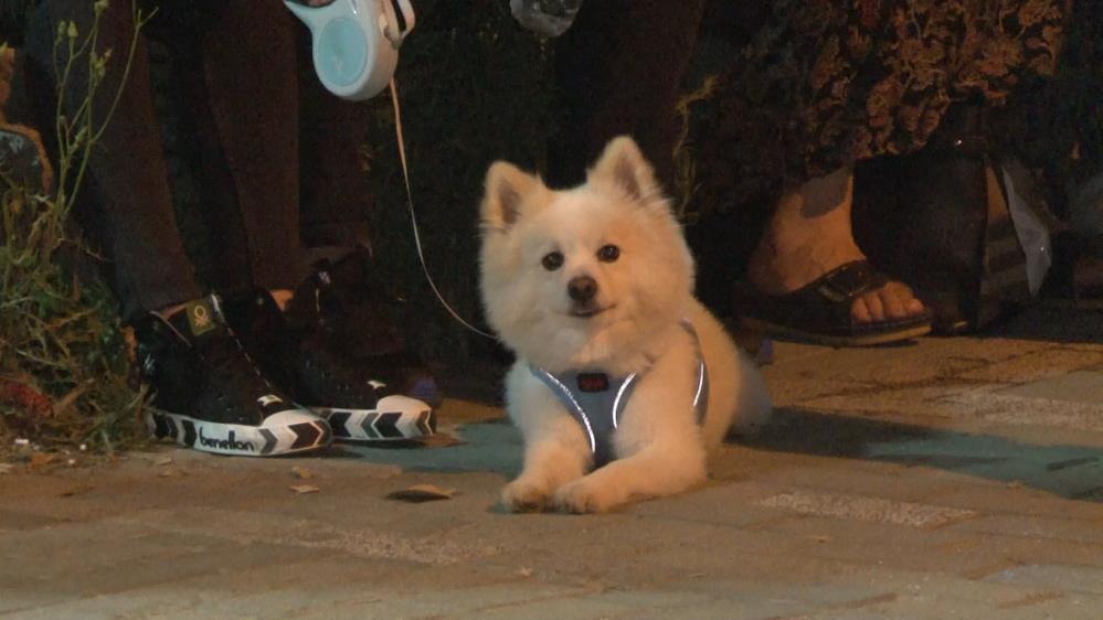 Genç kadının esrarengiz ölümü! Cesedini buldular