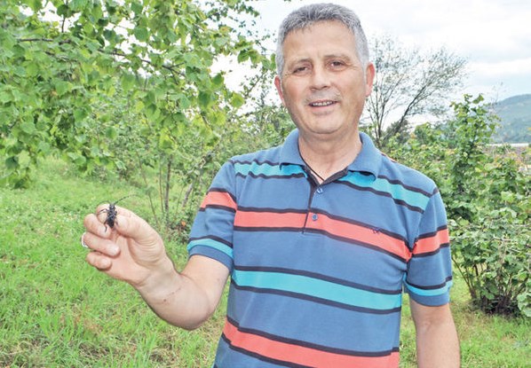 Durum vahim! İstanbul'u istila ediyorlar