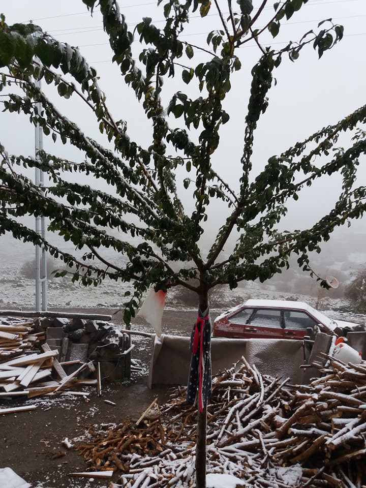 Ankara'ya mevsimin ilk karı yağdı