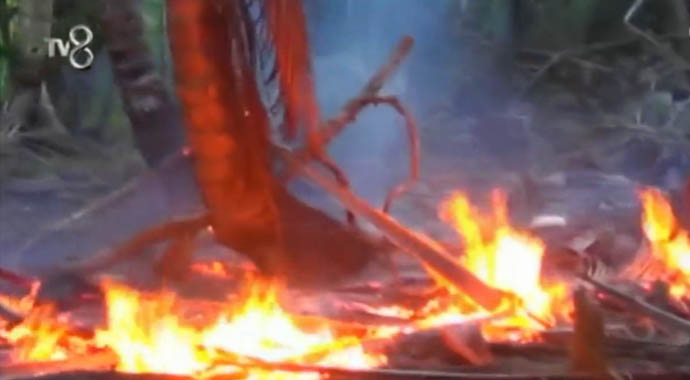 Survivor'da yangın çıktı