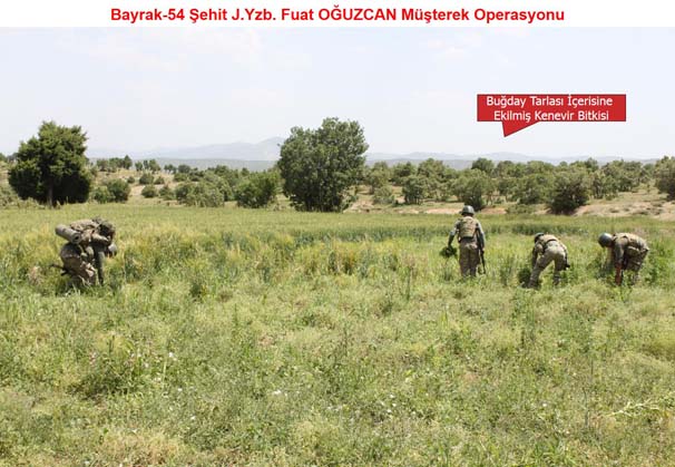 Diyarbakır’da PKK'ya yönelik dev operasyon sürüyor