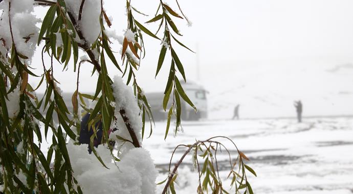 Ardahan'da kar yağışı