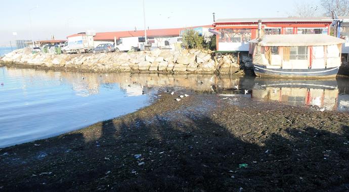 Yalova'da deniz çekildi