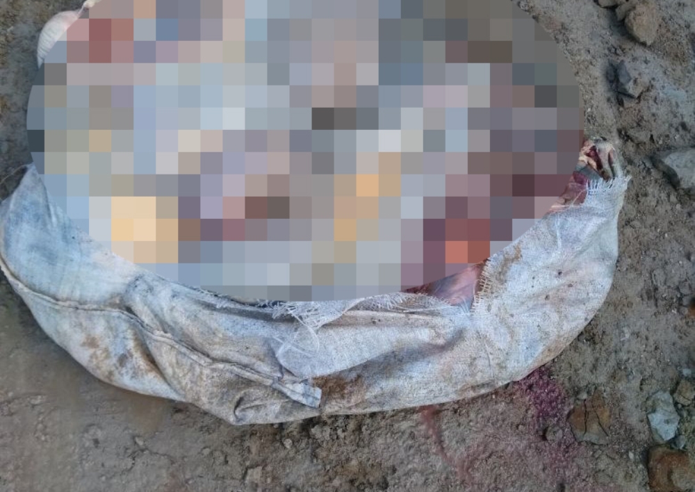 At keserlerken jandarma bastı