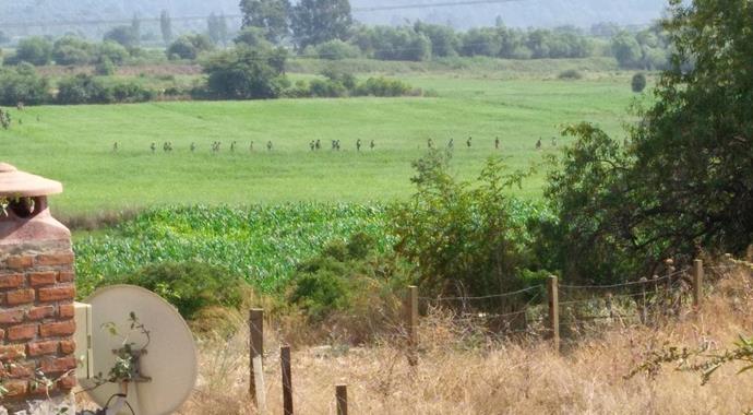 Darbeci askerler didik didik aranıyor