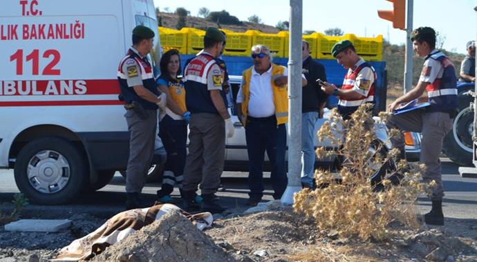 Yol kenarında ölü bulundu