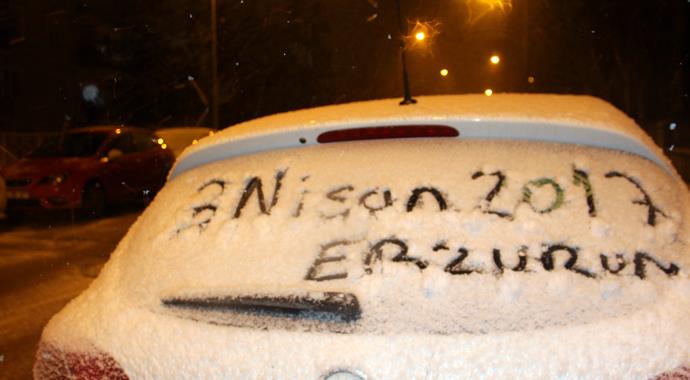 Erzurum'da kar yağışı