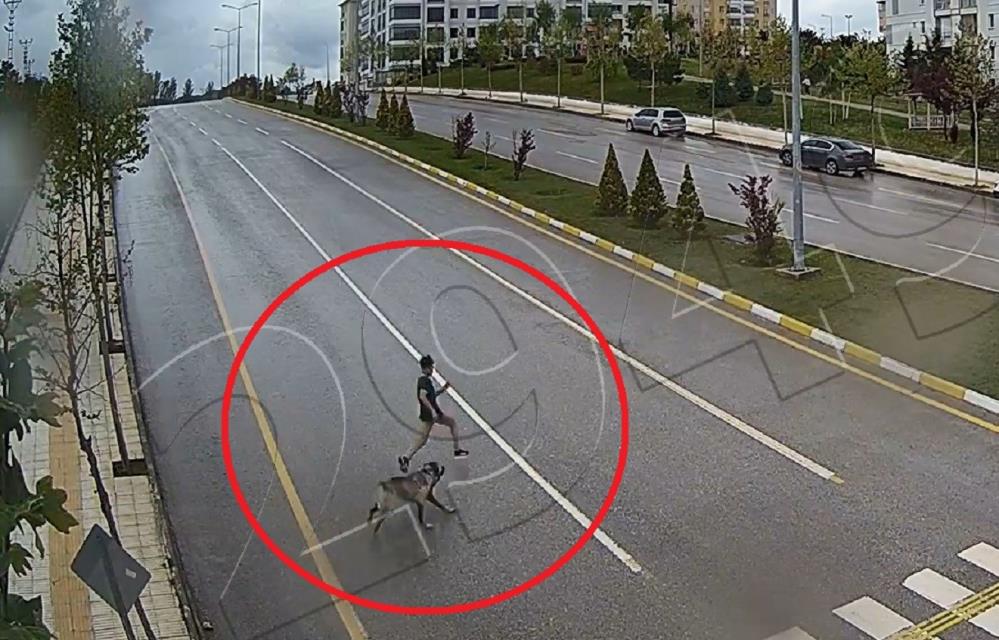 Köpekten kaçarken yere düşüp dalağı parçalandı