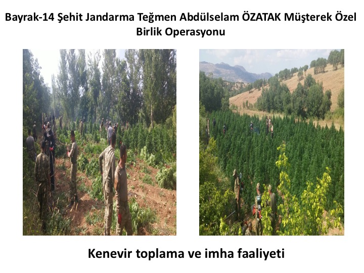 Lice'de operasyonlar devam ediyor