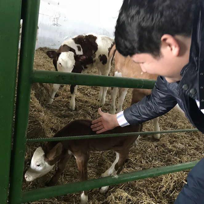 Tosuncuk Mehmet Aydın'ın yeni görüntüleri ortaya çıktı