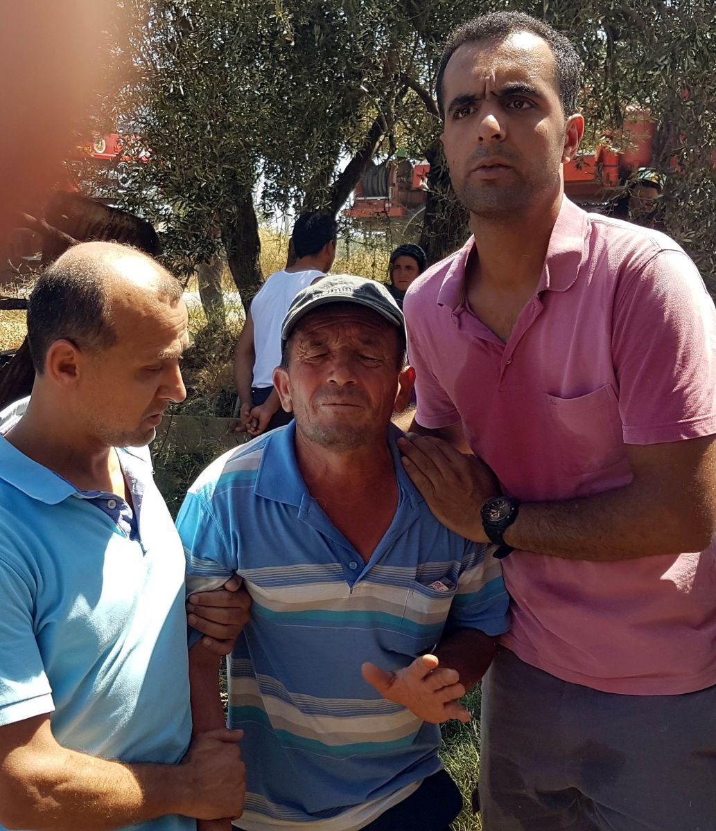 Manavgat’taki yangında 550’ye yakın hayvan telef oldu