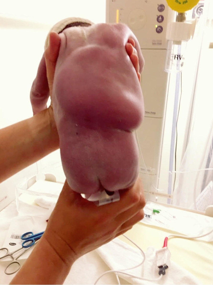 Akıllara durgunluk veren haber Fransa'dan geldi!