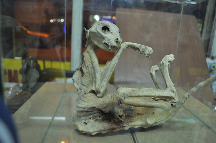 Niğde'de bulundu, bu iskeletin sırrı çözülemiyor!