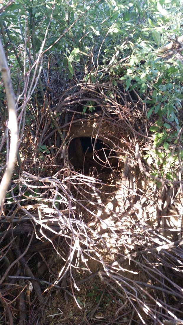 Lice'de 1 ton 190 kilo amonyum nitrat ele geçirildi