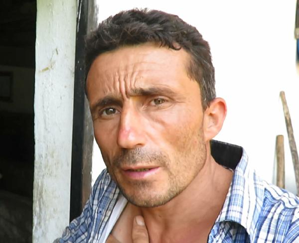 Ağva'da hayvan katliamı