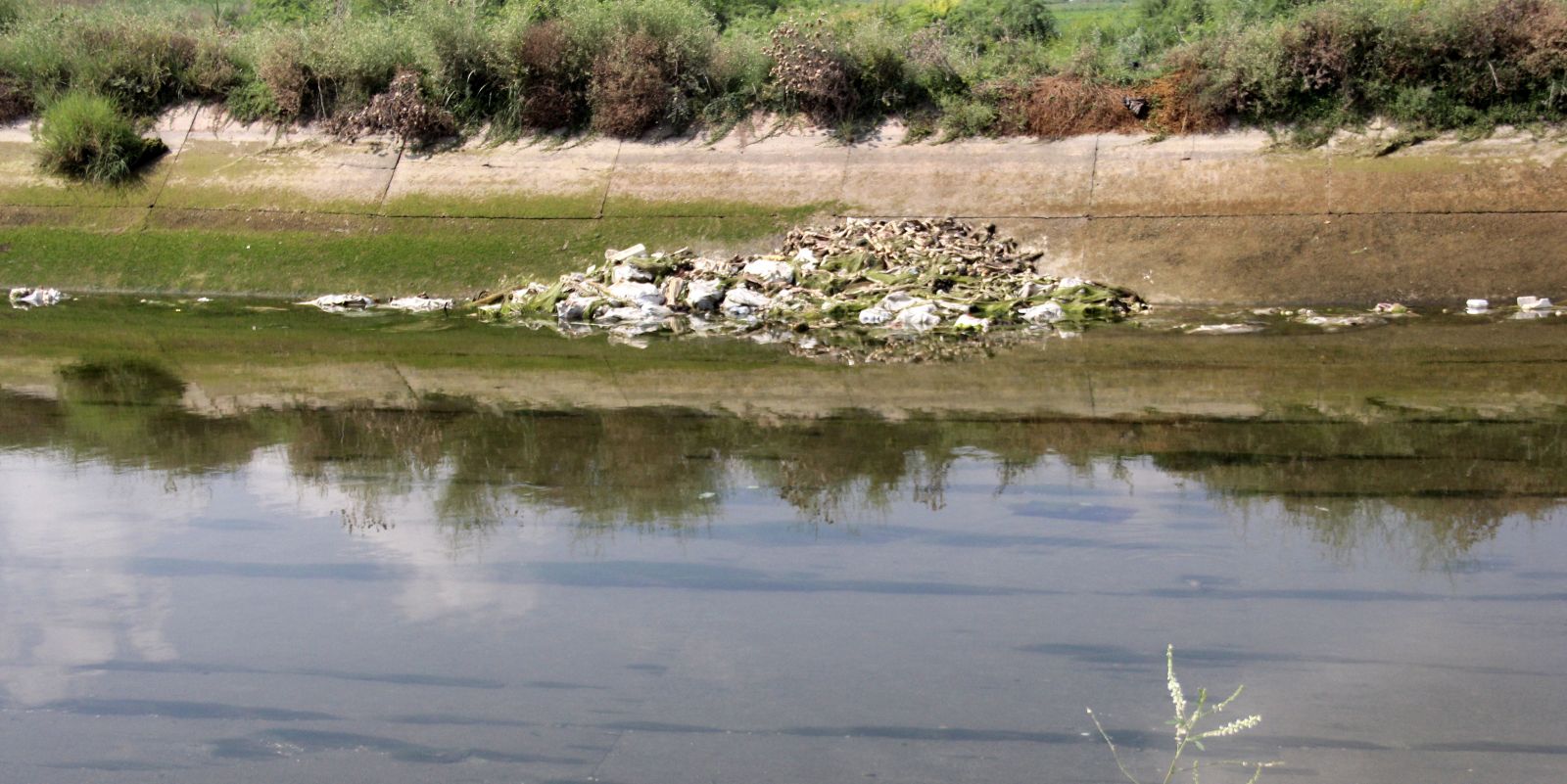 Kayıp çocuğu aradıkları sulama kanalında kesik at parçaları buldular