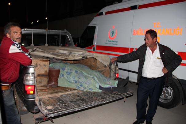 Ayı saldırısına uğrayan kişi öldü
