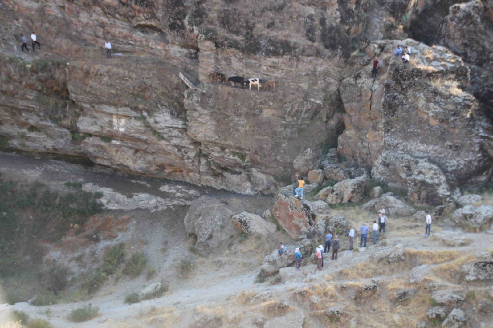 Muş'ta görenleri şaşkına çeviren manzara!