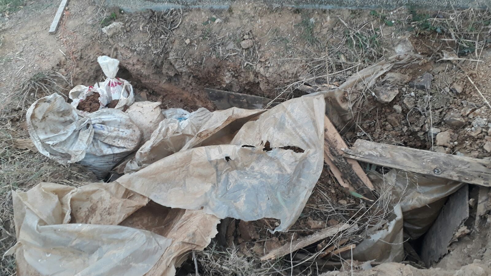 Kocaeli'de boş mezarda ürküten görüntü