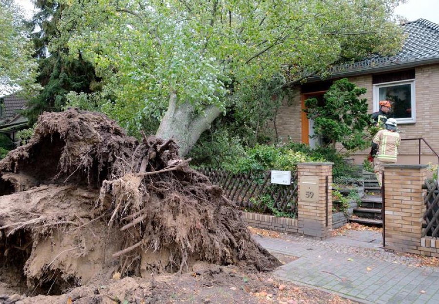 Almanya'da şiddetli kasırga: 7 ölü