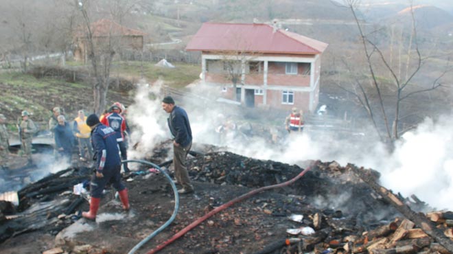 Üç kardeş de aynı tabuta konuldu