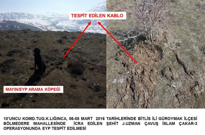 Bitlis’te 3 sığınak bulundu