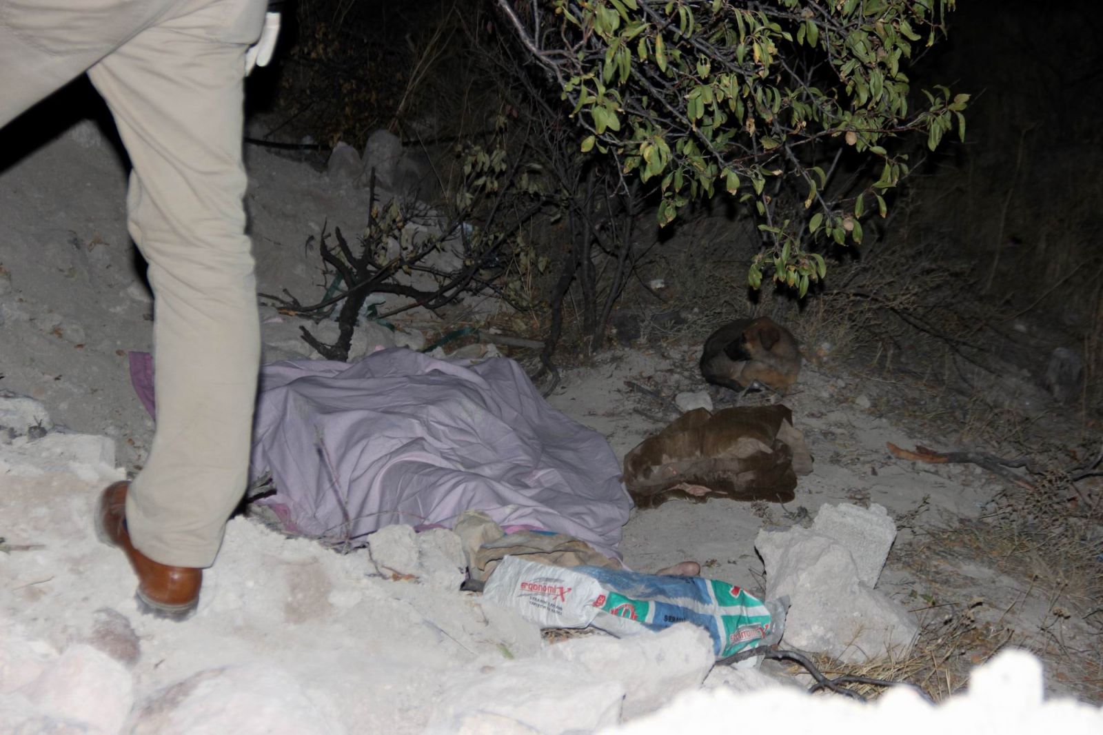 Kayseri'de yavru köpeğin sesine giden vatandaşlar, ceset buldu