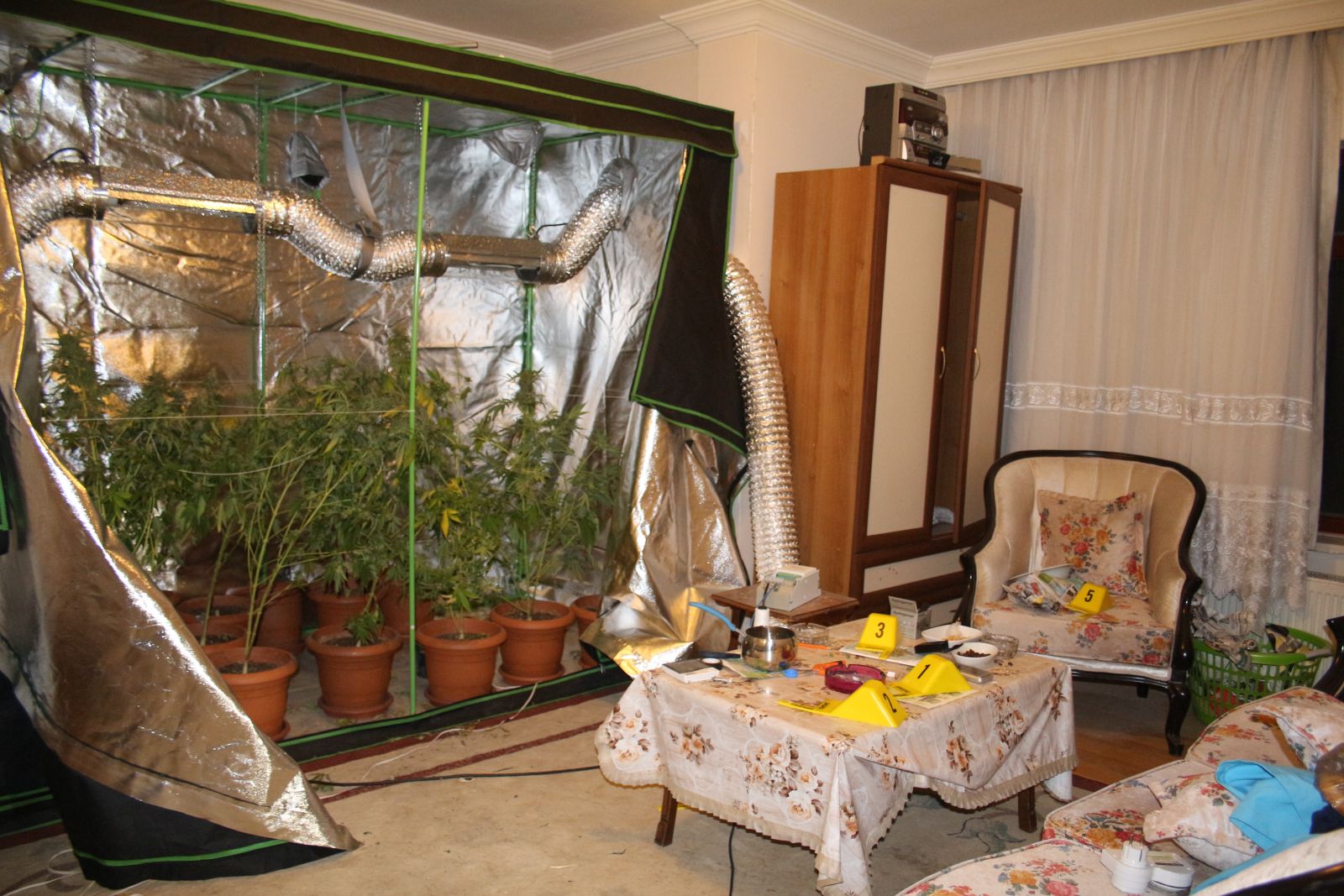 Yatak odasındaki dolap içinde kenevir yetiştirmiş