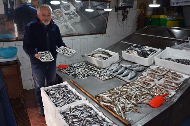 Hamsi soğuk sulara kaçtı!