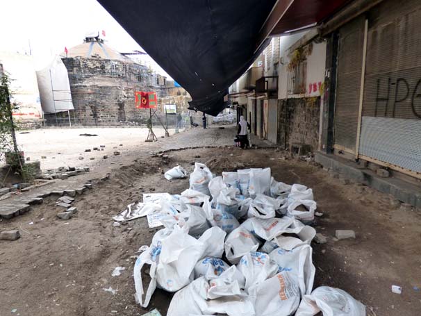 Sur'u korku sardı! Yılan, akrep, fare...