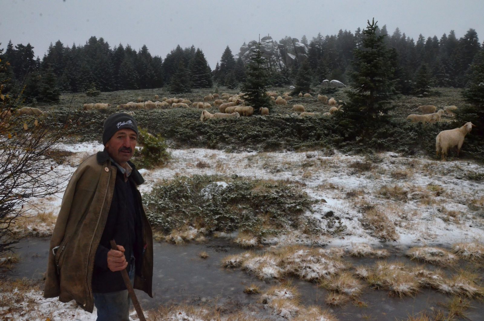 Uludağ'a kar erken yağdı, koyunlar dönüşe geçti
