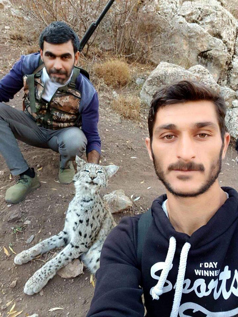 Öldürdükleri vaşakla fotoğraf çekilip, sosyal medyada paylaştılar!