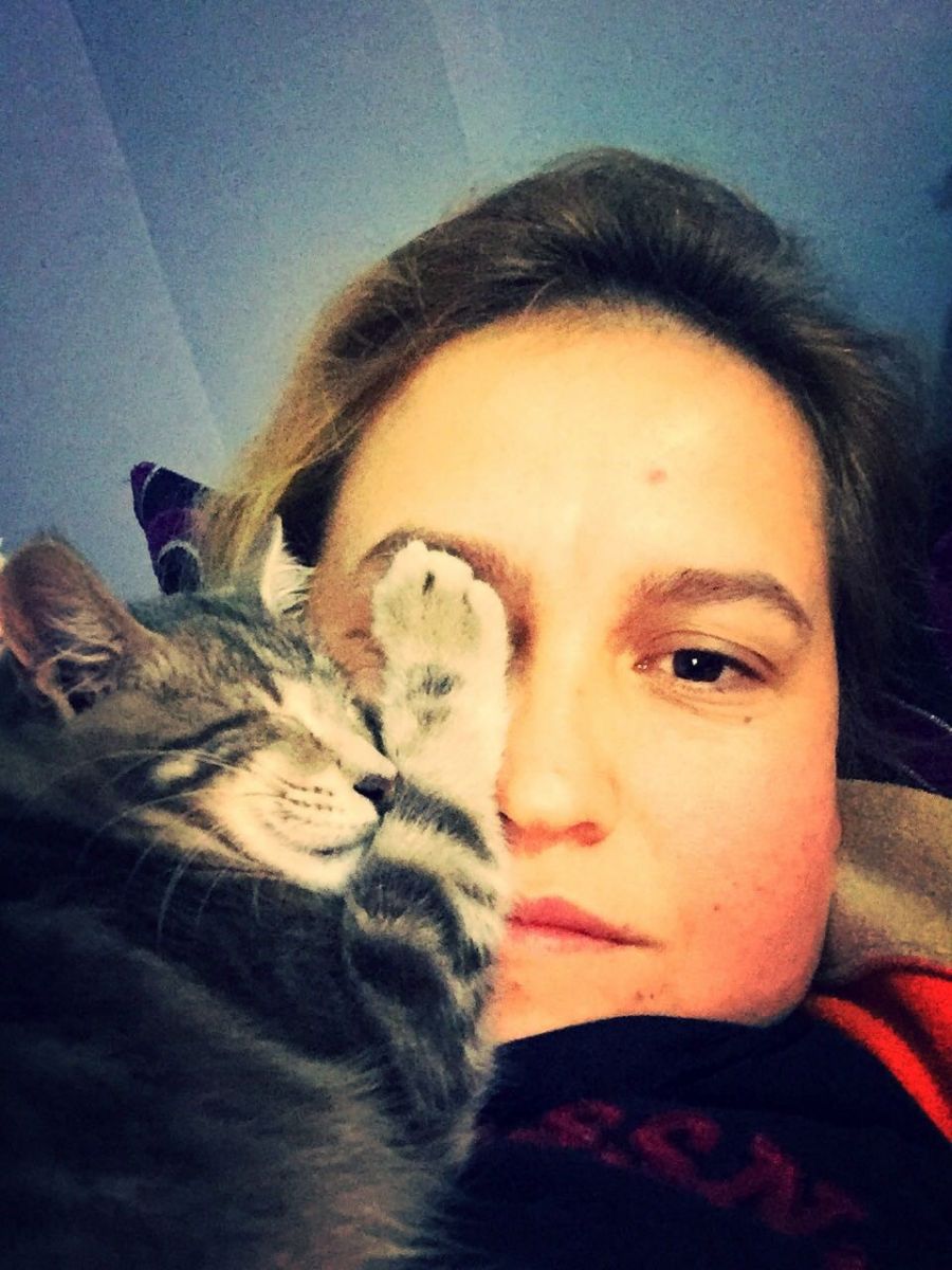 Kayıp kör kedisini günlerdir sokak sokak arıyor