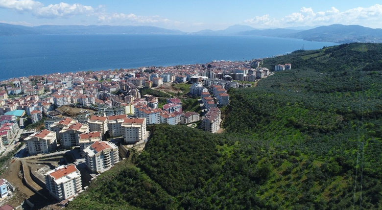 CHP'li belediye zeytinlikleri arsaya dönüştürdü