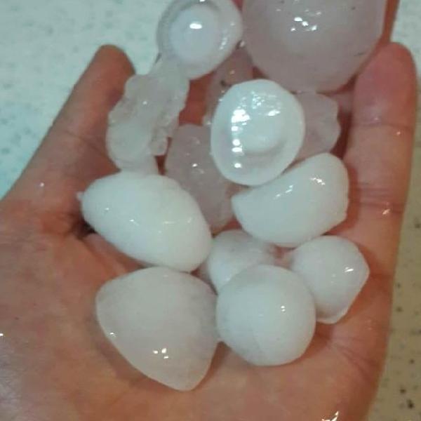 Yer: Ordu! Araç camlarını kırdı