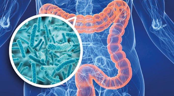 Yüz trilyon görünmez kahraman